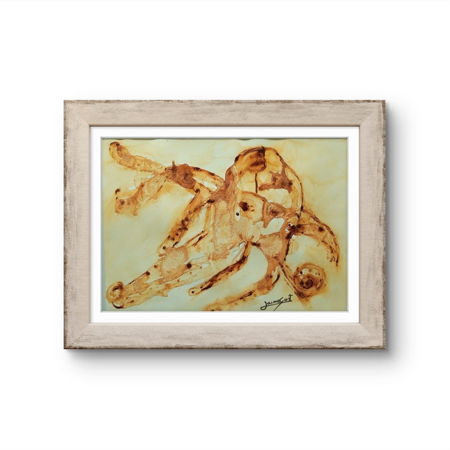 Pulpo Naranja