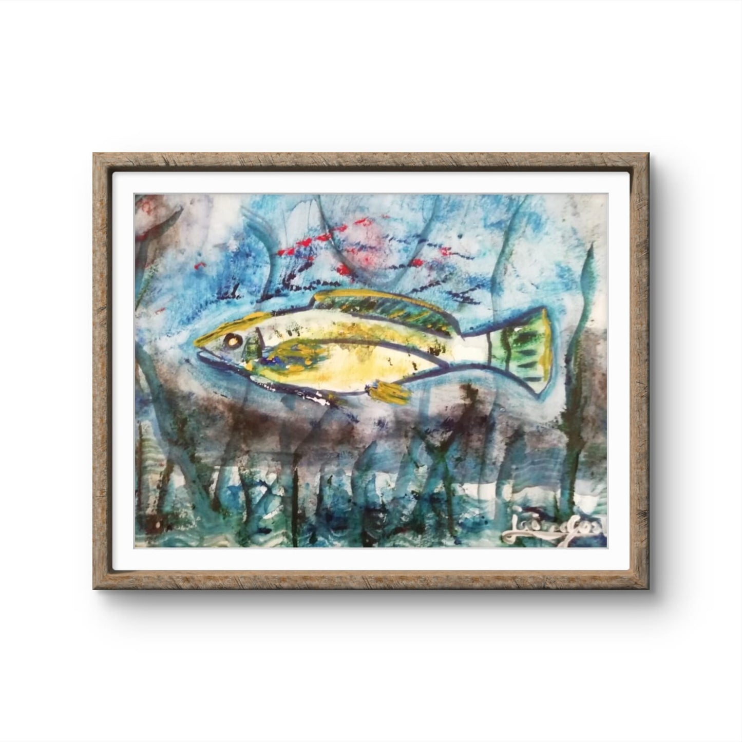 Corvina