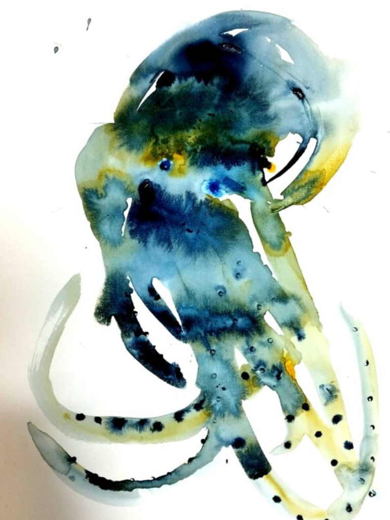 Pulpo Casper I