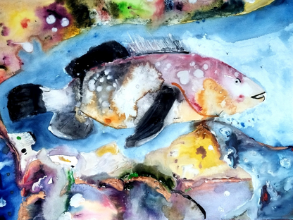 Grouper