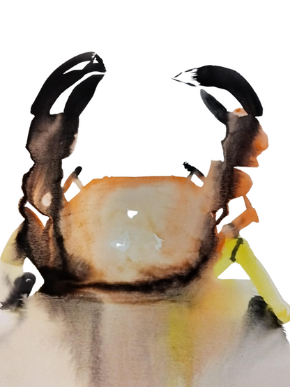 Crab