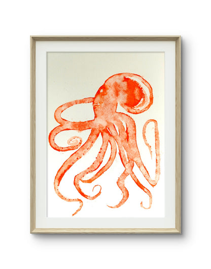 Octopus