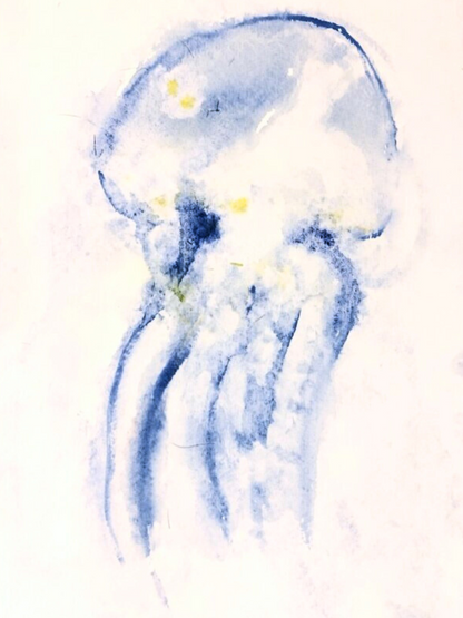 Jellyfish