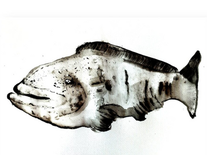 A Satisfied Grouper