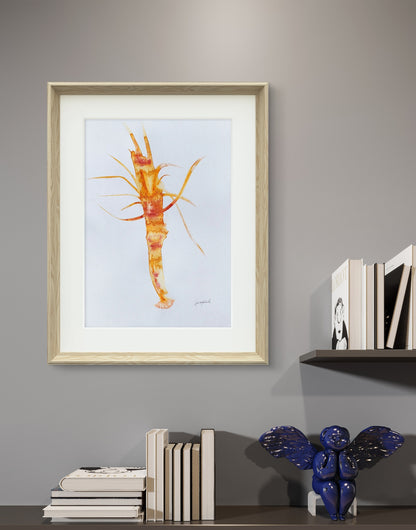 Prawn