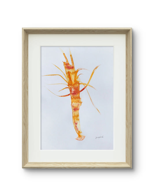 Gamba