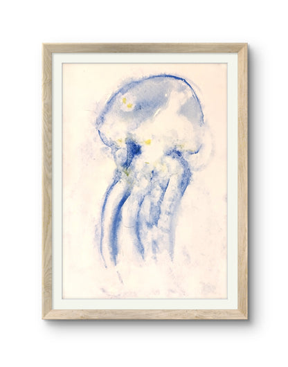 Jellyfish