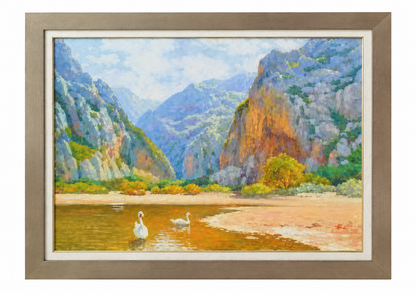 Cisnes en el Torrent de Pareis - Guillem Gil
