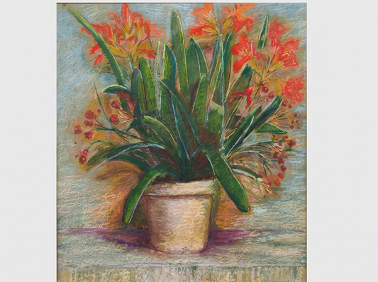 Clivia Roja — Jaime Gost Socias