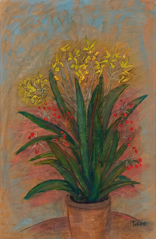 Clivia amarilla — Jaime Gost Socias