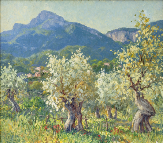 Olivos de Estellencs, Serra de Tramuntana - Guillem Gil