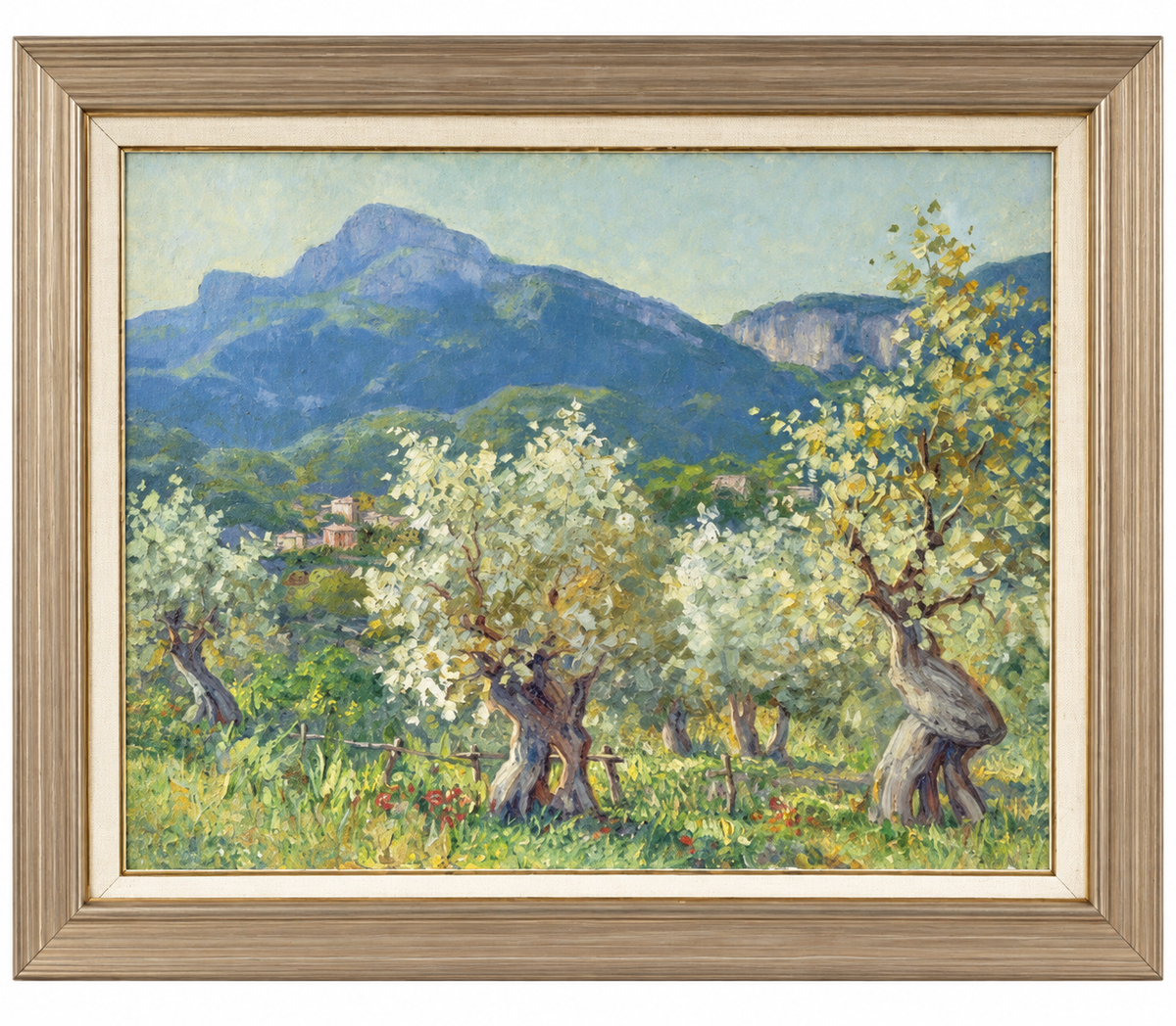 Olivos de Estellencs, Serra de Tramuntana - Guillem Gil
