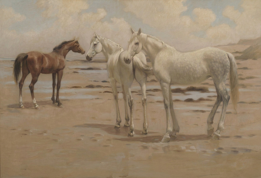 Caballos en la playa — Tomás Horrach Bibiloni