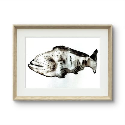 A Satisfied Grouper