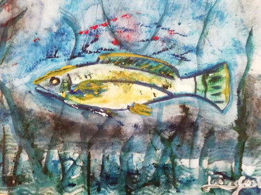 Corvina