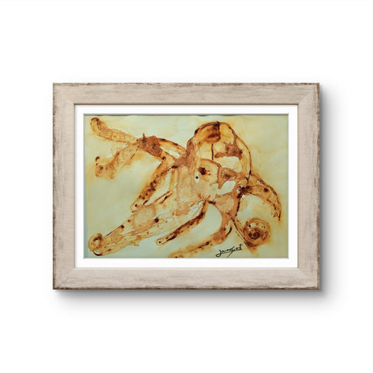 Pulpo Naranja