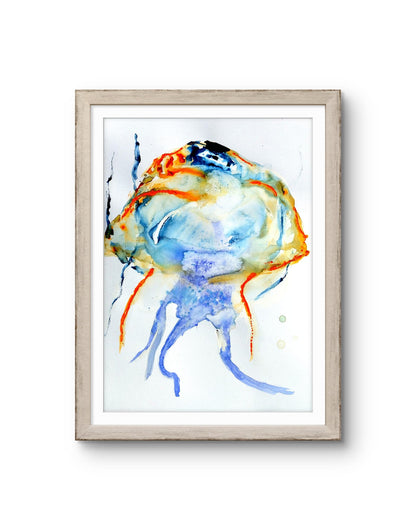 Jellyfish Sisyphus