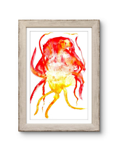 Jellyfish Icarus