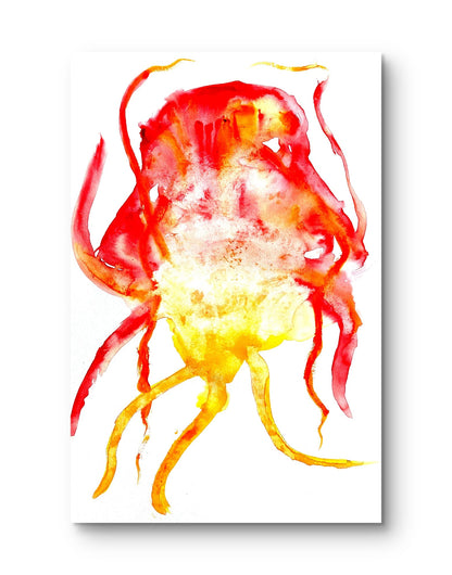 Jellyfish Icarus