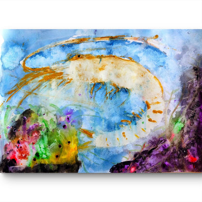 Chromatic Prawn