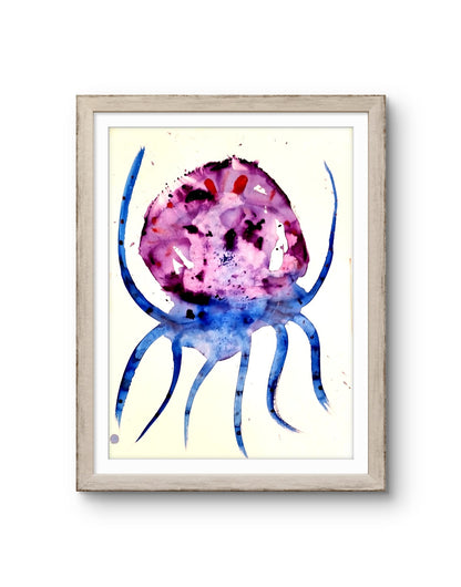 Jellyfish Nereid