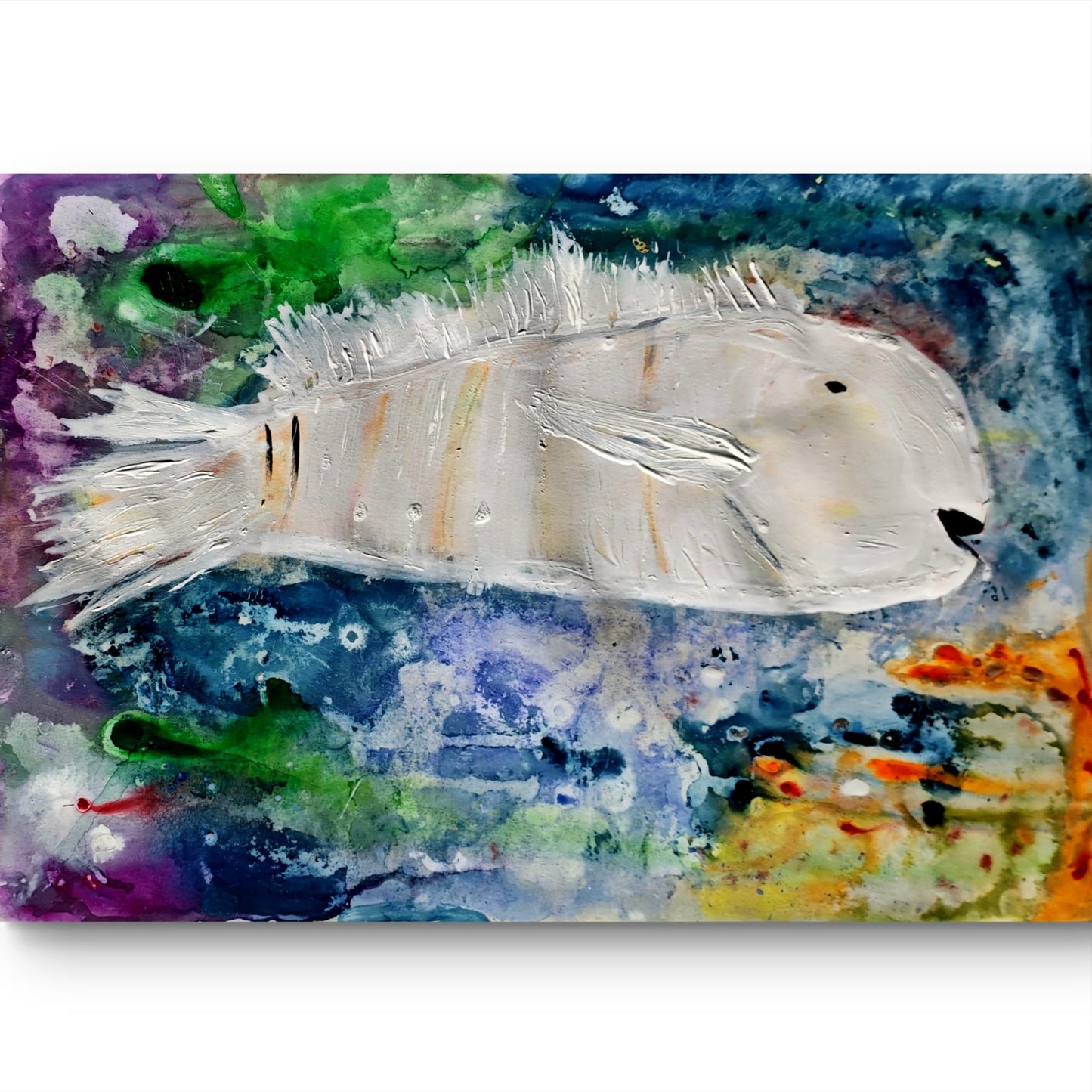 Pez Blanco Cromático