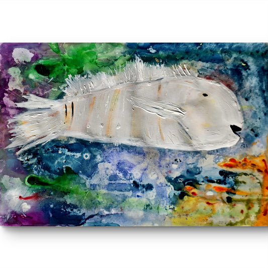 Pez Blanco Cromático