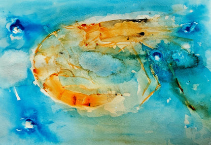 Prawn