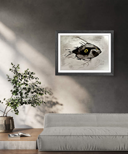 John Dory