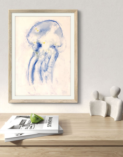 Jellyfish